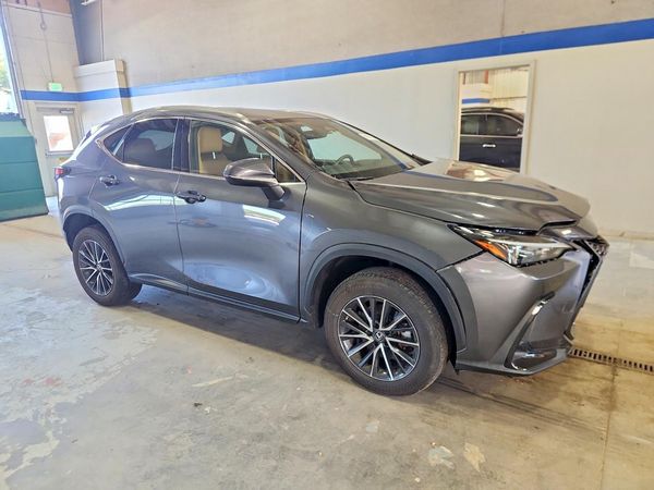 2023 LEXUS NX — Passenger 3/4