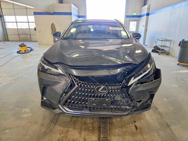 2023 LEXUS NX — DIRF