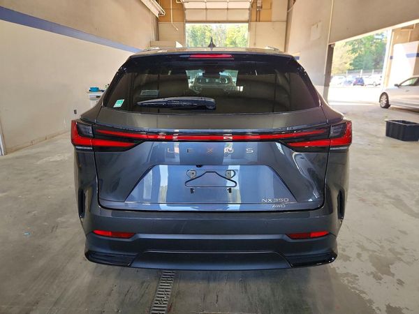 2023 LEXUS NX — DIRR