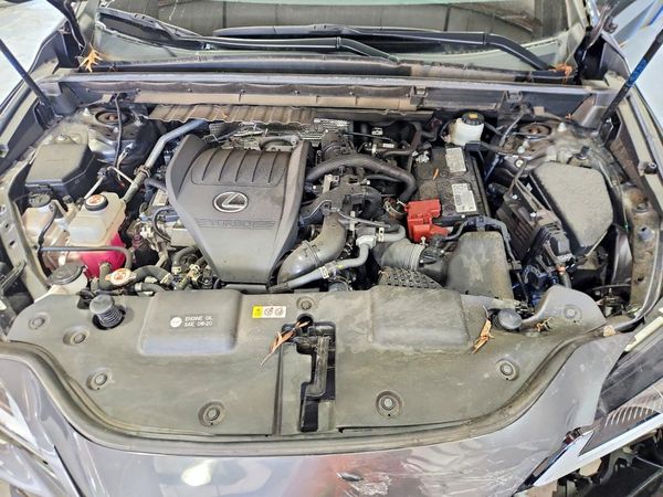 2023 LEXUS NX — Engine bay