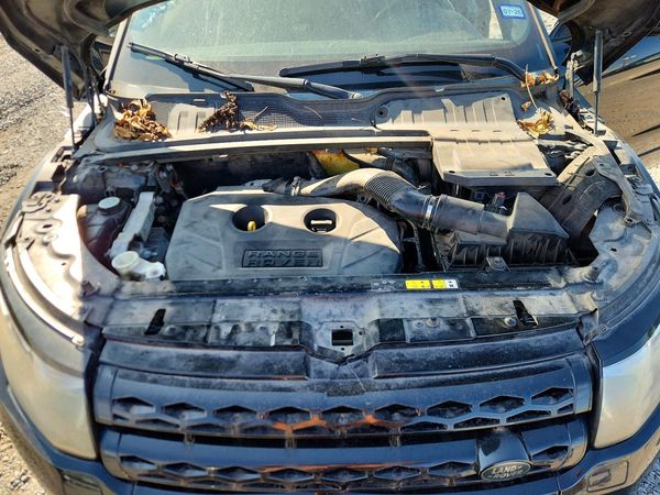 2014 LAND ROVER RANGEROVER Dynamic Premium — Engine bay