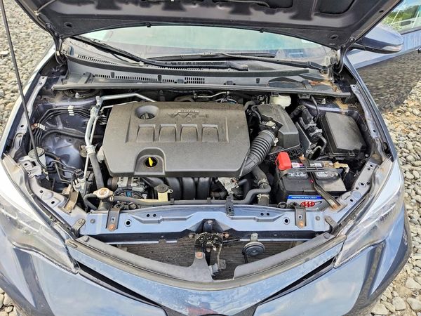 2019 TOYOTA COROLLA — Engine bay
