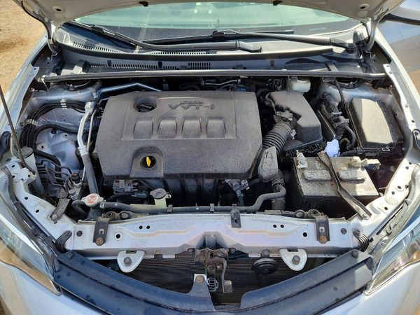2019 TOYOTA COROLLA — Engine bay
