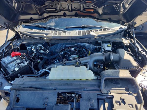 2025 FORD F150 STX