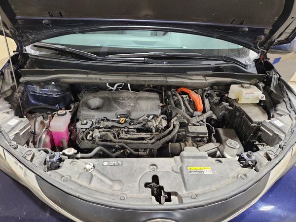 2024 TOYOTA SIENNA LE