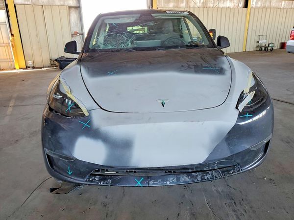 2024 TESLA MODEL Y — DIRF