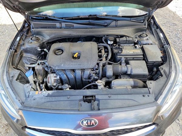 2019 KIA FORTE FE/LX/LXS — Engine bay
