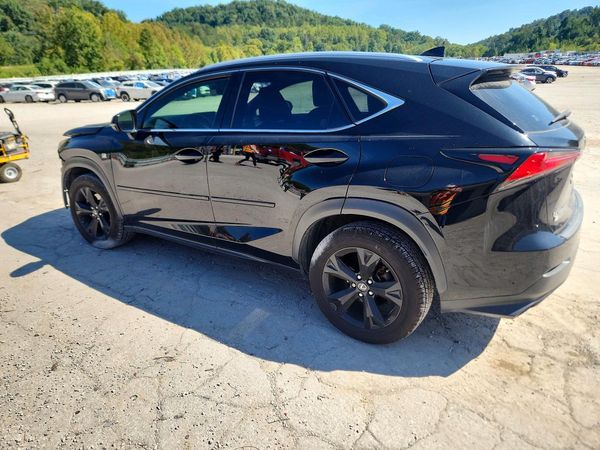 2019 LEXUS NX 300 300 Luxury