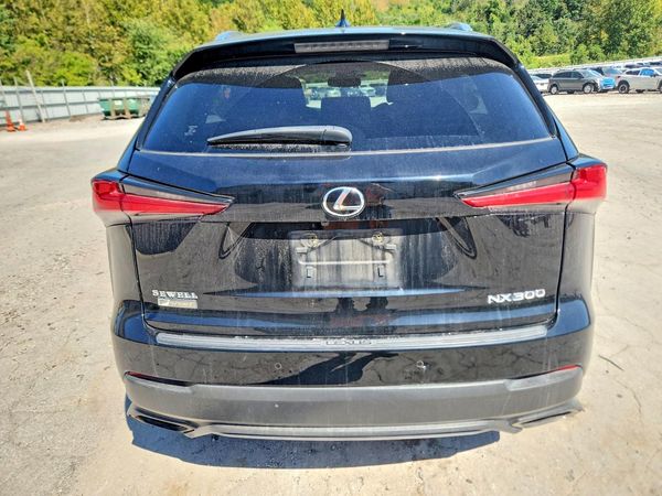 2019 LEXUS NX 300 300 Luxury