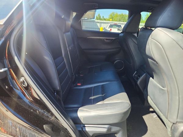 2019 LEXUS NX 300 300 Luxury