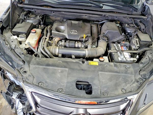 2015 LEXUS NX — Engine bay