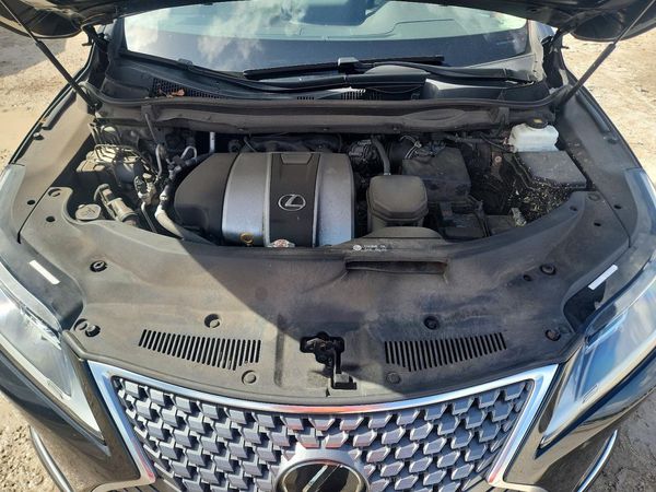 2020 LEXUS RX 350 Premium