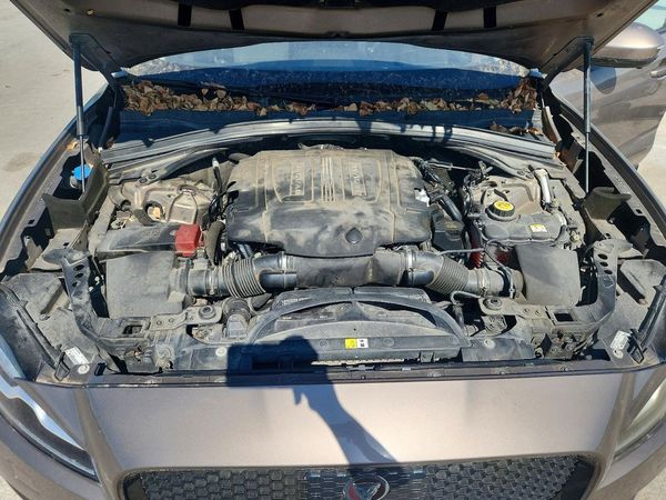 2017 JAGUAR F-PACE R-Sport — Engine bay