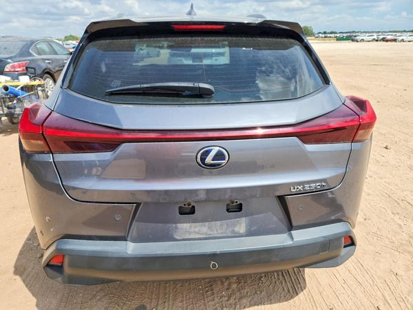 2021 LEXUS UX — DIRR