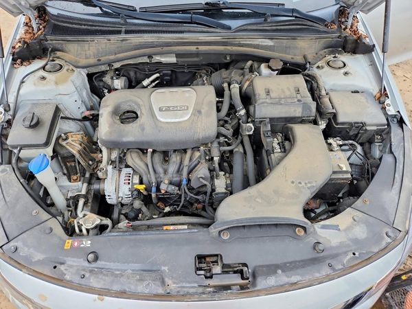 2019 KIA OPTIMA — Engine bay
