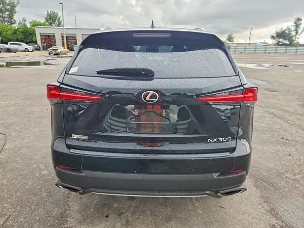 2019 LEXUS NX 300 — DIRR