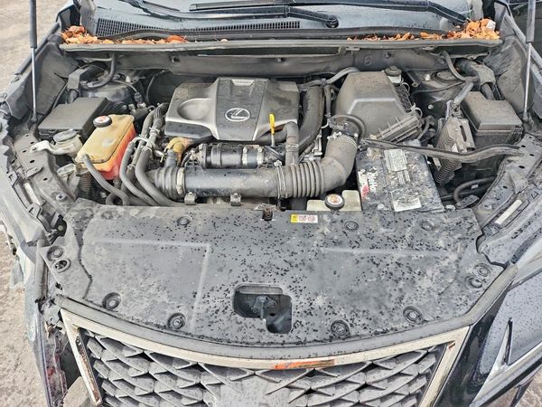 2019 LEXUS NX 300 — Engine bay