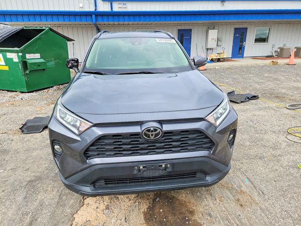 2019 TOYOTA RAV4 XLE / XLE Premium 4WD — DIRF