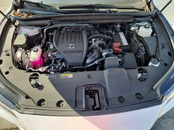 2024 LEXUS RX 350 — Engine bay