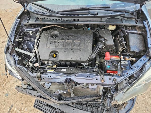 2019 TOYOTA COROLLA — Engine bay