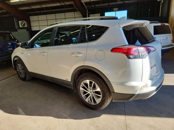 2018 TOYOTA RAV4 LE Plus/XLE