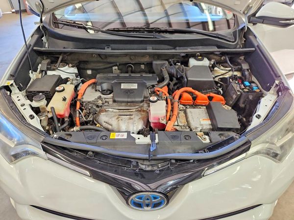 2018 TOYOTA RAV4 LE Plus/XLE