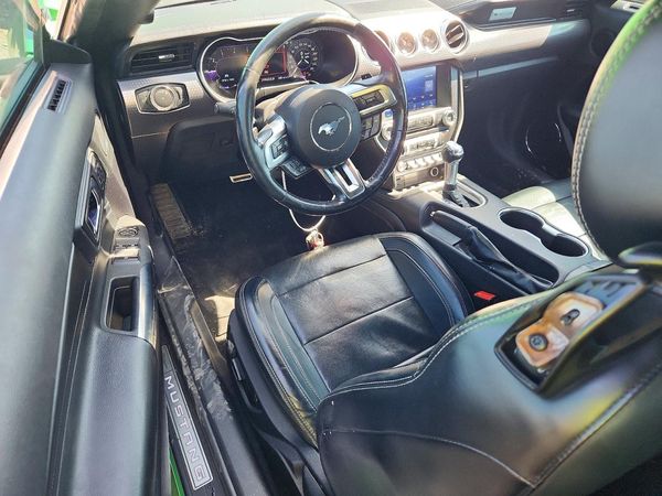 2019 FORD MUSTANG — CKPT