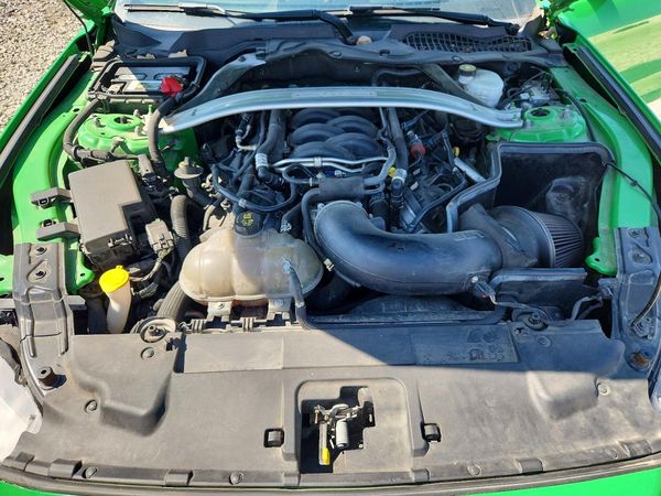 2019 FORD MUSTANG — Engine bay