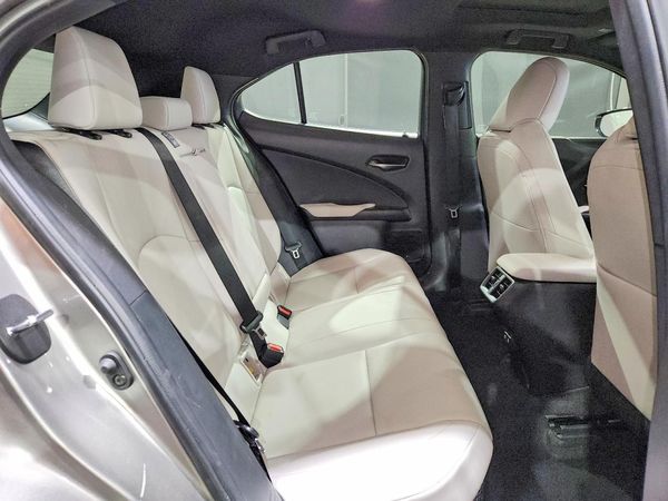 2020 LEXUS UX 250h Premium