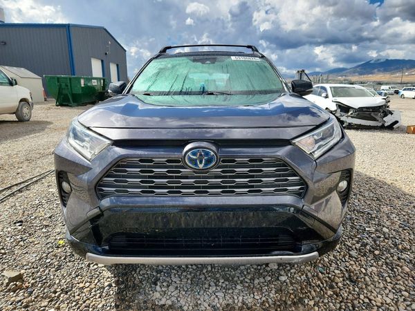 2019 TOYOTA RAV4 XSE HV 4WD — DIRF