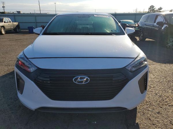 2019 HYUNDAI IONIQ — DIRF