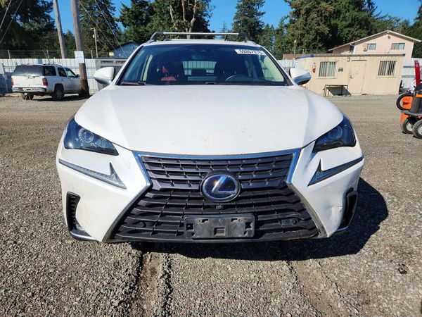 2019 LEXUS NX — DIRF