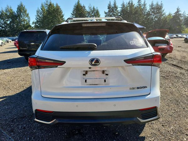 2019 LEXUS NX — DIRR