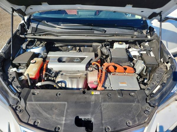 2019 LEXUS NX — Engine bay