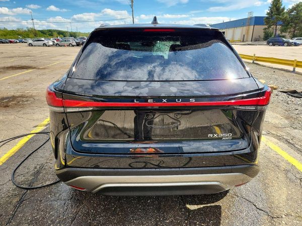 2025 LEXUS RX — DIRR