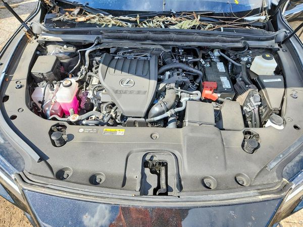 2025 LEXUS RX — Engine bay