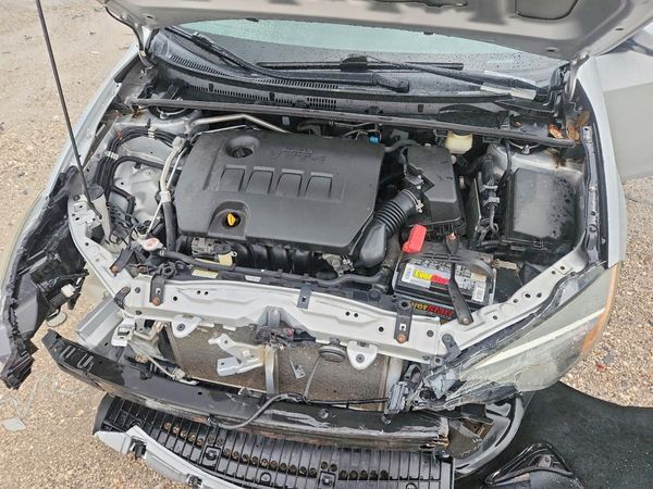 2019 TOYOTA COROLLA L/LE/SE/XLE/XSE — Engine bay