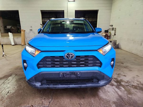 2019 TOYOTA RAV4 XLE / XLE Premium 4WD — DIRF