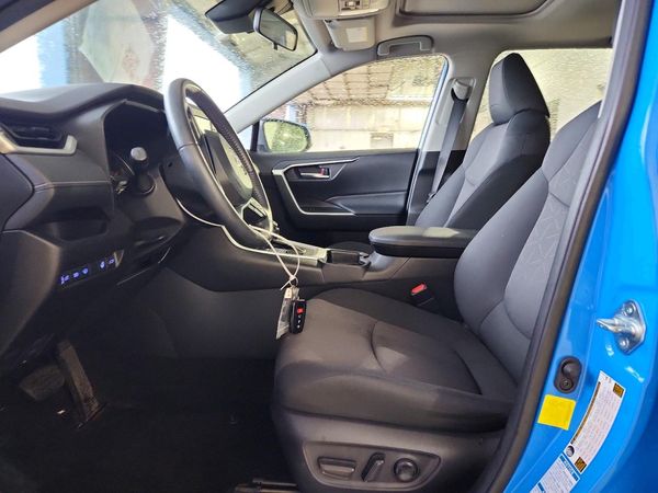 2019 TOYOTA RAV4 XLE / XLE Premium 4WD — DENT