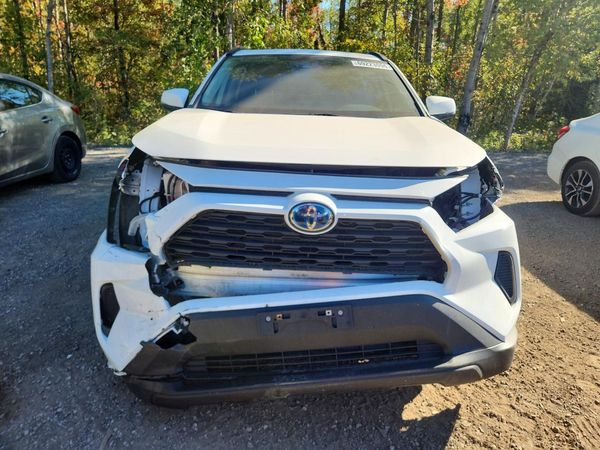 2024 TOYOTA RAV4 XLE — DIRF