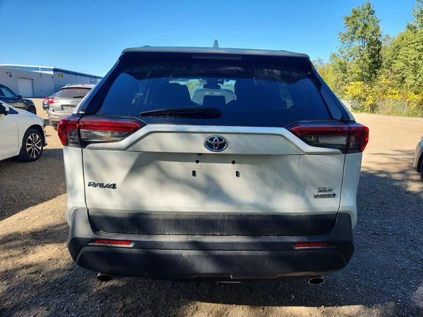 2024 TOYOTA RAV4 XLE — DIRR