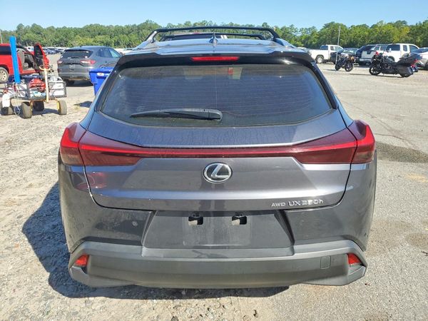 2023 LEXUS UX 250H — DIRR