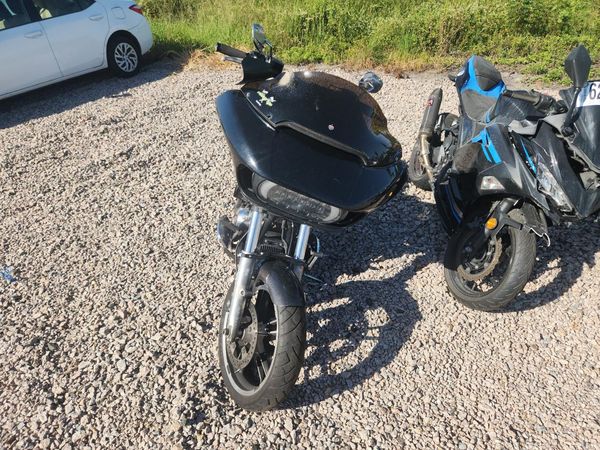 2019 HARLEY-DAVIDSON FL — DIRF