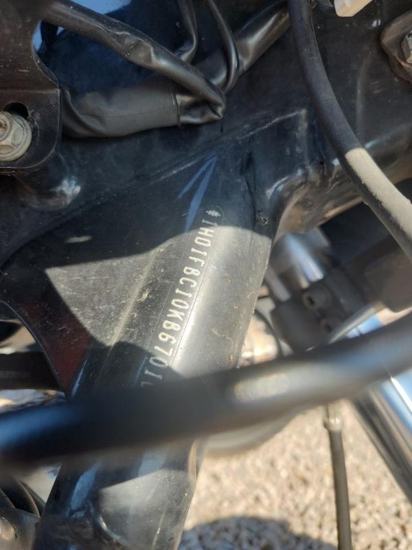 2019 HARLEY-DAVIDSON FL — VINP