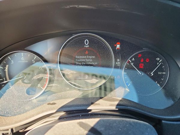 2024 MAZDA CX-50 — ODOM