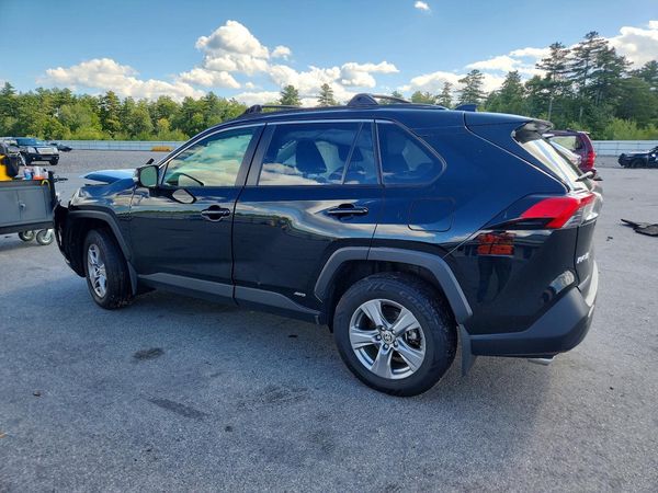 2024 TOYOTA RAV4 XLE — DSRA