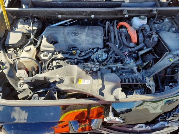 2024 TOYOTA RAV4 XLE — Engine bay