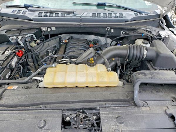 2019 FORD F150