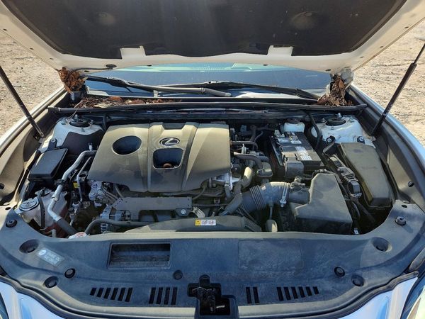 2021 LEXUS ES 250 350 Premium — Engine bay