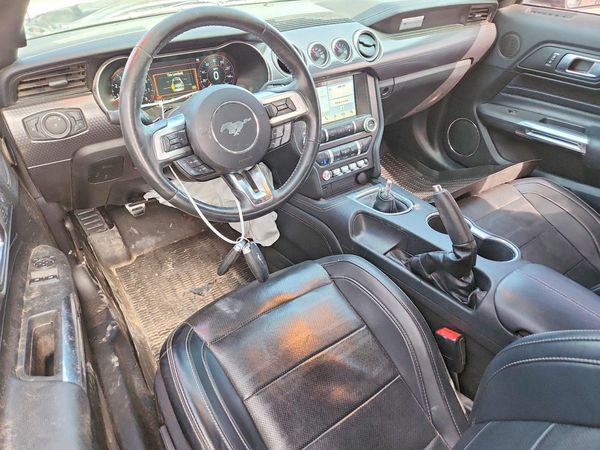 2019 FORD MUSTANG — CKPT
